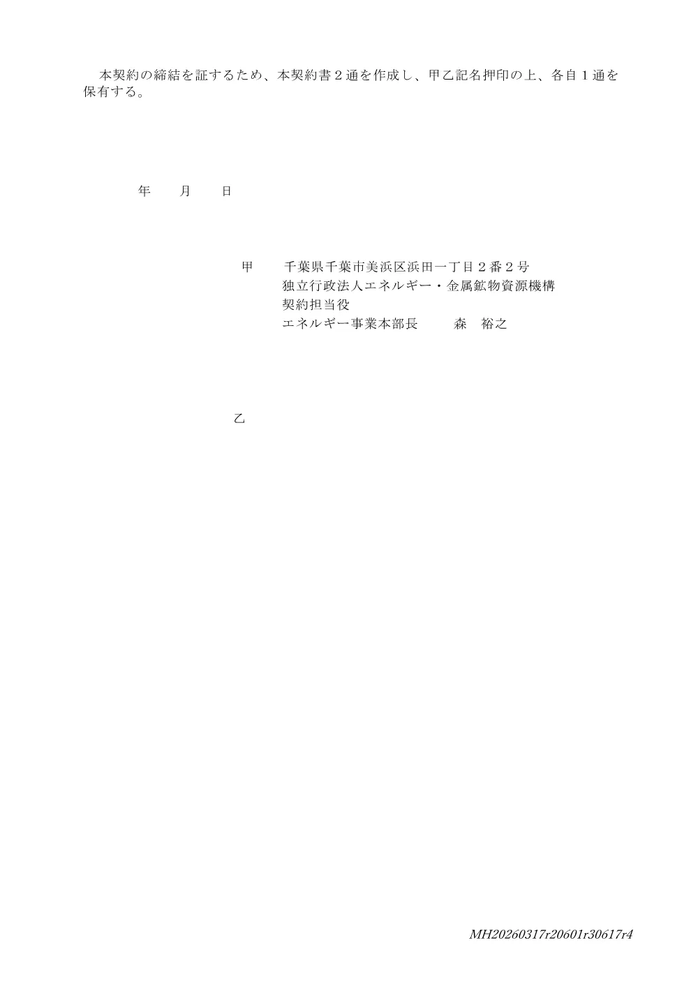 300802994.pdf 3ページ目のプレビュー