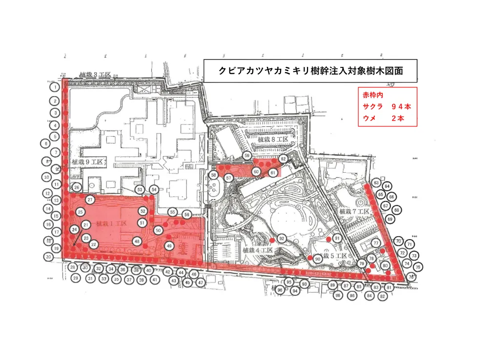 04_仕様書_樹幹注入図面.pdf 1ページ目のプレビュー