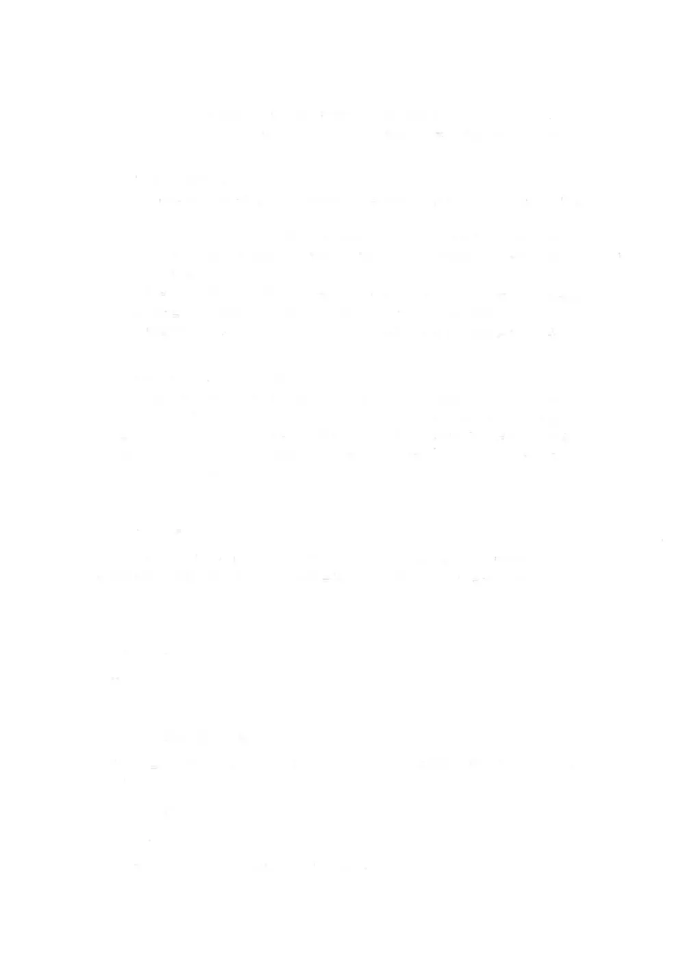01一般競争入札公告.pdf 3ページ目のプレビュー